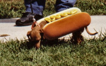 Wiener Dog