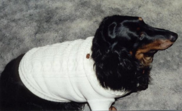 Sweater