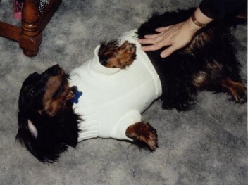 rolling sweater
